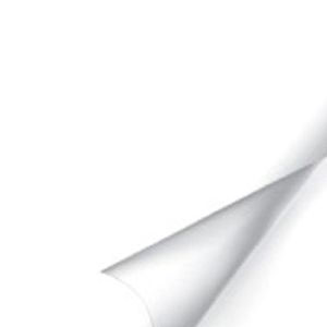 484205.jpg