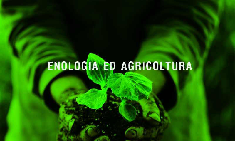 enologiaedagricoltura.jpg